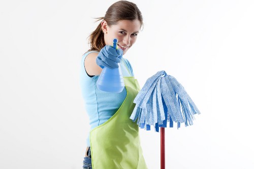 Regular cleaning service for a Hampstead home with period features