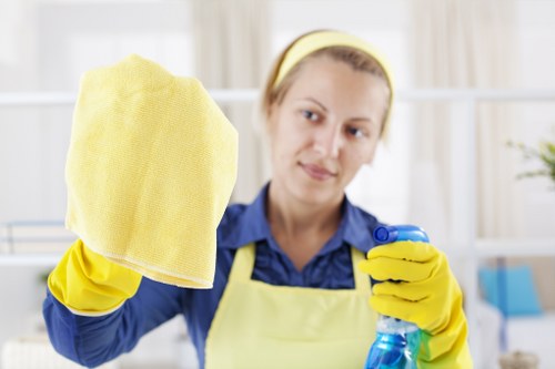 Detailed dust removal after renovation in a Hampstead kitchen
