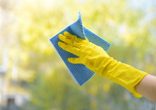 Professional sofa cleaning service for Hampstead homes