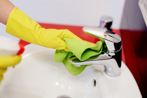 Cleaner Hampstead service terms and conditions introduction