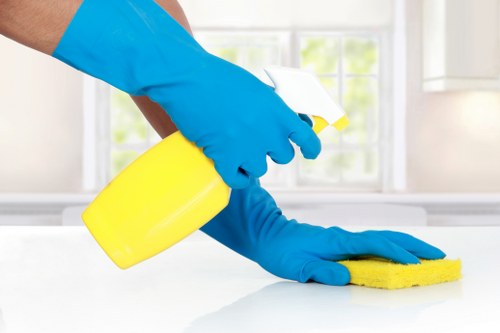 Cleaner preparing a Hampstead living room for a professional house cleaning visit