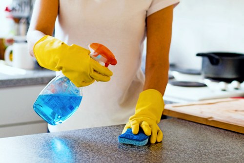 Professional window cleaning service for Hampstead homes with period-style windows