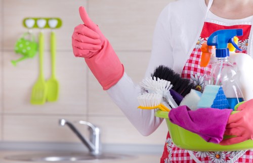 Domestic cleaner working in a Hampstead period home living room