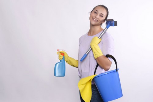 Professional house cleaning arranged for a Hampstead home or small business