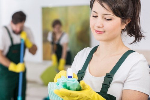 Sofa and upholstery care for residential and commercial customers in Hampstead