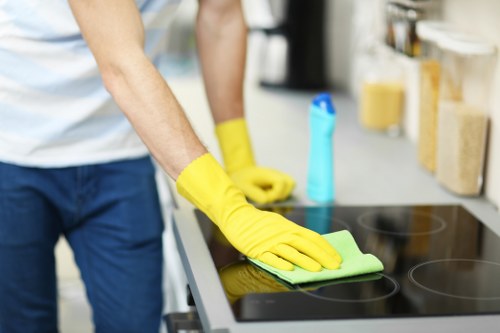 Local carpet cleaning technician working in a Hampstead flat