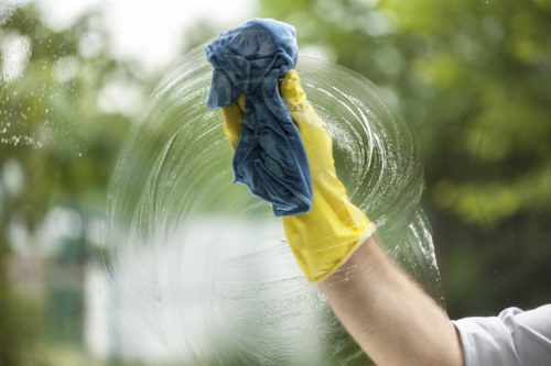Cleaner Hampstead insured cleaning team following safe practices