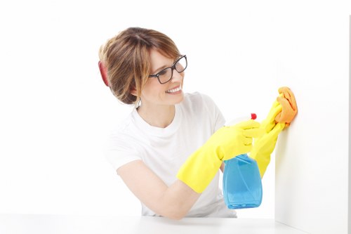 Professional cleaning of a Hampstead period property living room