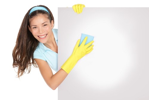 Local Hampstead cleaning technician treating a lingering pet smell
