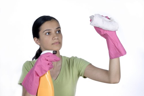 Local cleaners working in a Hampstead period property