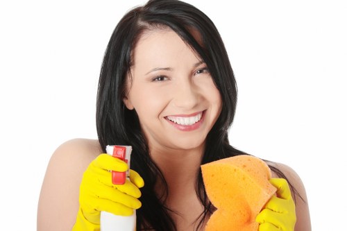 Move-out cleaning checklist and cleaning team in Hampstead