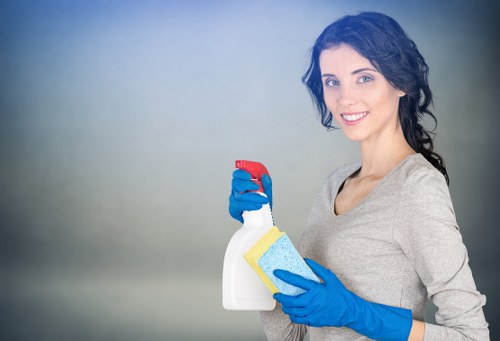 Upholstery stain treatment in a Hampstead living room