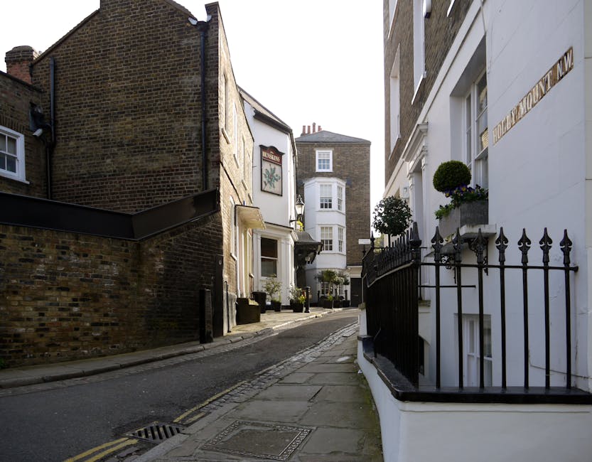 A narrow residential street in Hampstead featuring a mix of brick and white-painted period homes. The street has a slight incline with a stone sidewalk and a black wrought-iron fence adorned with potted plants and neatly trimmed topiary. The white building on the right displays a sign indicating it is part of a conservation area, and the homes have large windows, some with flower boxes. The scene is illuminated by natural daylight, highlighting the clean, well-maintained facades and surrounding greenery, reflecting the professional cleaning and maintenance services provided by Cleaner Hampstead for period homes in Hampstead Village.