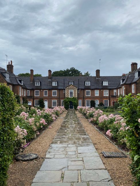 A narrow residential street in Hampstead featuring a mix of brick and white-painted period homes. The street has a slight incline with a stone sidewalk and a black wrought-iron fence adorned with potted plants and neatly trimmed topiary. The white building on the right displays a sign indicating it is part of a conservation area, and the homes have large windows, some with flower boxes. The scene is illuminated by natural daylight, highlighting the clean, well-maintained facades and surrounding greenery, reflecting the professional cleaning and maintenance services provided by Cleaner Hampstead for period homes in Hampstead Village.